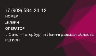 9095842412